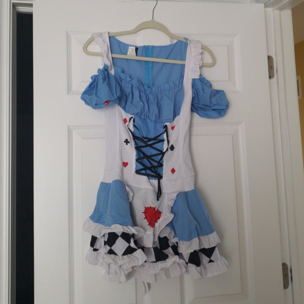 Miss Wonderland Costume
